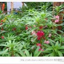 용추폭포가든 이미지