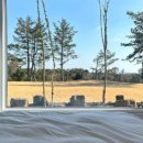 스테이인숲 이미지