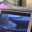찬란한 것들을 동경했다.