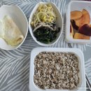 상쾌한장문외과의원 | 내치핵4기 치질수술 후기 (수술당일~수술5일차)