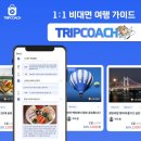 비긴 이미지