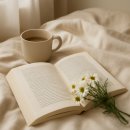 로뎀치과의원 | 검단치과 정보로 정리한 치아관리와 치아시림 체크