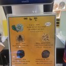 [여수]술안주, 이순신광장 낭만메가칩후기