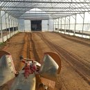 인복농장 이미지