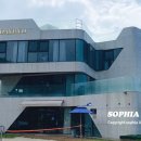 데이바이디 이미지