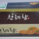 한밭농장 네이버블로그
