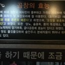 먹골문현곱창 이미지