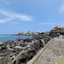 신창싱계물 이미지