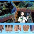 거북섬메디컬치과병원 이미지