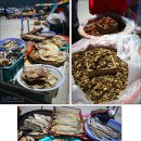 통영굴멍게건어물 Daum카페