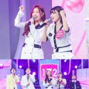 포유 bnt뉴스
