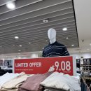 킹스마트 | 퍼스 #1 | 대중교통 이용하기 / 런던 코트 / 킹스파크