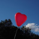 독서와 글쓰기 이미지