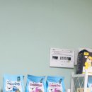 살구펫 이미지