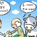 잭과콩나물