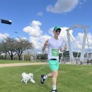 댕댕지구 이미지