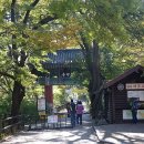 금잔듸 | [산행기]계룡산 국립공원