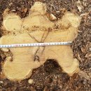 은평-003 이미지