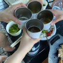 카메라빌리지 | 진천 더빌리지 캠핑장 내돈내산 후기｜애견동반 가능한 수영장 커플여행