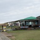 대정읍 매일시장 뒤 | 제주 / 강아지와 함께한 제주 여행 - 3탄 -
