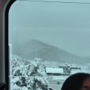 [여행] 20241127~20241129 후쿠오카 번개여행