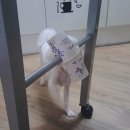우오컴퍼니 이미지