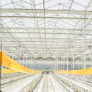 새싹3호농장 이미지