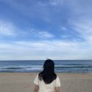 카페감 - 시흥시 목감남서로 9-33 | 카페감