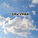 고대메디칼약국 이미지