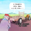 2025년03월11일화요일오늘의 포토 뉴스 시사 만평 떡메 이미지