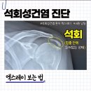 애니핏짐 네이버블로그