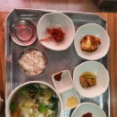 육일원조명태탕 이미지