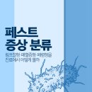 미사늘편한내과의원 이미지