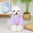268 이미지