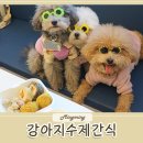 멍빵댕빵 이미지