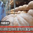 호박컨설팅