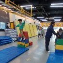 용인대 블랙벨트 태권도 이미지