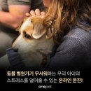 우리집앞동물병원 이미지