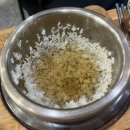 궁전애견 | 북한산 맛집 궁전회관 솔직 방문 후기 (주차 안내)