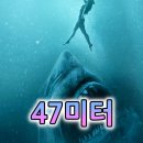 (주)피버엔터테인먼트 | 47미터 영화 줄거리 리뷰 뜻 결말 해석 / 맨디 무어,클레어 홀트,매튜 모딘 (2016)