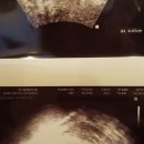 나의 커리어 회고록 ③ 다시 시작한 나만의 일