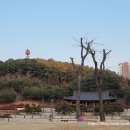 청계중앙공원 매장문화재 유적 이미지