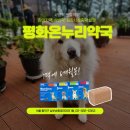 남부온누리약국 이미지