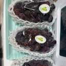 해찬농장 네이버블로그