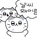 소담 김밥이랑 국수랑 이미지