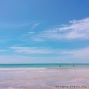 제주드림공인중개사사무소 이미지