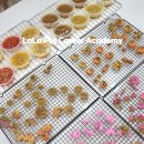 펫푸드교실 이미지