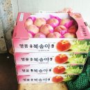 초원포도원 이미지