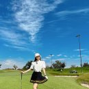 프리지아 이미지