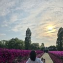 뚜띠파스타 이미지